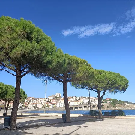 Saint-cyprien Plage, Charmant Studio Meuble Vue Mer *