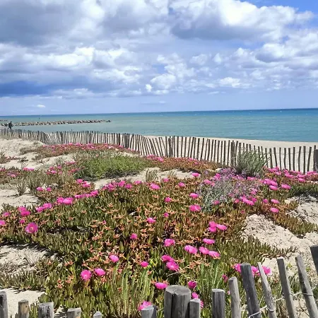 Saint-cyprien Plage, Charmant Studio Meuble Vue Mer *