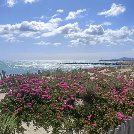 Saint-cyprien Plage, Charmant Studio Meuble Vue Mer * Saint-Cyprien (Pyrenees-Orientales)